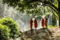Vier Mönche in orangen Gewändern betrachten einen Wasserfall inmitten tropischer Vegetation.