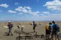 Radfahrer treffen auf Ziegenherde während ihrer Reise.