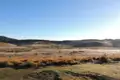 Morgendliche Landschaft mit trockenem Gras, Hügeln und feuchtem Gras im Vordergrund.