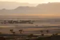 Wüstenlandschaft mit vereinzelten Bäumen im goldenen Licht des Sonnenaufgangs.