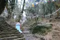 Gebetsfahnen schmücken einen Weg durch einen Wald.  Eine kleine Gebetsstätte befindet sich am Wegrand.