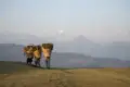 Drei Personen tragen Körbe mit Holz in einer Berglandschaft.