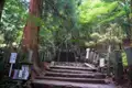 Steintreppe, die durch einen Wald führt.