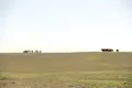 Jurte und Kamele in der Steppe, möglicherweise Teil einer Reise durch die Mongolei.