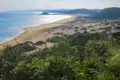 Panoramablick auf den Sandstrand und die Dünenlandschaft an der Küste.