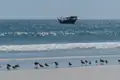 Traditionelles Boot auf dem Meer und Vögel am Strand.