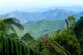 Tabakpflanzen auf einem Feld in Viñales, Kuba. Die Mogotes-Berge sind im Hintergrund sichtbar.