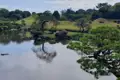 Teich und Bäume in einem japanischen Garten.