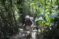 Wanderer im Dschungel