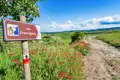 Wegweiser und Pfad der Via Francigena in der Toskana, umgeben von blühenden Blumen und grüner Landschaft.