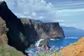 Steile Klippen fallen zum Meer hin ab, im Vordergrund blühen Pflanzen.