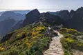 Gepflasterter Wanderweg in den Bergen mit gelben Blumen.