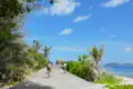 Radfahrer auf einer Küstenstraße mit Palmen und Meerblick.