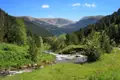 Idyllischer Gebirgsbach inmitten einer grünen Berglandschaft.