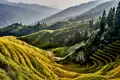 Reisterrassenlandschaft