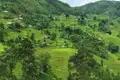 Grüne Reisterrassen und kleine Häuser in einer hügeligen Landschaft.