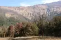 Blühende Rhododendronbüsche im Vordergrund mit einer Bergkette im Hintergrund.