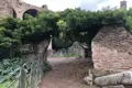 Ruinen und Bäume im Palatin