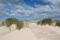 Dünengras und Sandstrand am Meer.