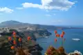 Santorini Caldera mit Aloen und Kreuzfahrtschiffen
