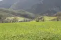 Landschaft mit grünem Feld, Bäumen und Bergen.