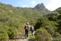 Wanderer auf einem Bergpfad mit Vegetation und einem felsigen Gipfel im Hintergrund.