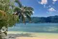 Palmengesäumter Strand mit Blick auf die Berge und türkisfarbenes Wasser.