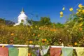 Weiße Stupa in einem Feld mit orangen Blumen und Gebetsfahnen.