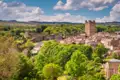 Panoramablick auf Richmond mit der imposanten Burg und den Überresten der Stadtmauer, umgeben von grünen Bäumen und Häusern.