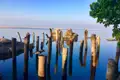 Holzpfähle im Wasser mit einem Vogel, der auf einem der Pfähle sitzt.