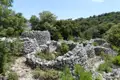 Verfallene Steinmauern einer historischen Stätte, umgeben von Vegetation.