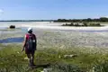 Wanderer am Ufer eines mit weißen Blüten bedeckten Gewässers.