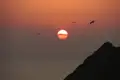 Sonnenuntergang über dem Meer mit fliegenden Vögeln und einer felsigen Küste.