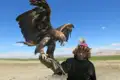 Ein Mann mit einem Steinadler auf dem Arm.