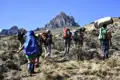 Wandergruppe auf einem Bergpfad mit Trekkingstöcken und Rucksäcken unterwegs.