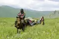 Reiter mit Packpferden auf einer Bergwiese.