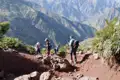 Wanderer mit Trekkingstöcken auf einem rötlichen Bergpfad inmitten von Pflanzen.