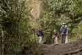 Wandergruppe auf einem Waldpfad.
