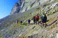 Wandergruppe auf einem Bergpfad