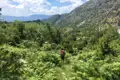 Wanderer auf einem Bergpfad inmitten von Farnen und Bäumen.