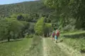 Wanderer auf einem Wanderweg inmitten grüner Landschaft.
