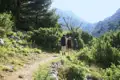 Drei Wanderer mit Rucksäcken auf einem Bergpfad inmitten von Bäumen und Sträuchern.