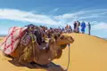 Reisegruppe ruht auf einer Düne während einer Kamelwanderung.