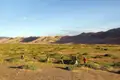 Wanderer in einer Wüstenlandschaft mit Sanddünen im Hintergrund.