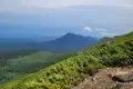 Blick von einem bewachsenen Berghang auf eine Bergkette im Hintergrund.