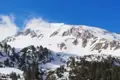 Schneebedeckter Berg mit Tannen im Vordergrund.