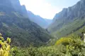 Tiefe Schlucht mit dichter Vegetation und hohen Felswänden.