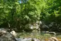 Klares Flusswasser fließt zwischen Felsen und Bäumen in einem grünen Wald.