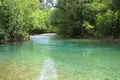 Klares Flusswasser inmitten einer üppigen grünen Landschaft.