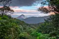 Panoramablick auf einen Vulkan durch dichten Regenwald.